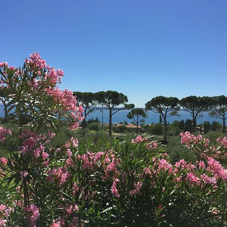 Agriturismo Nonna Bettina Moniga del Garda Ngoại thất bức ảnh