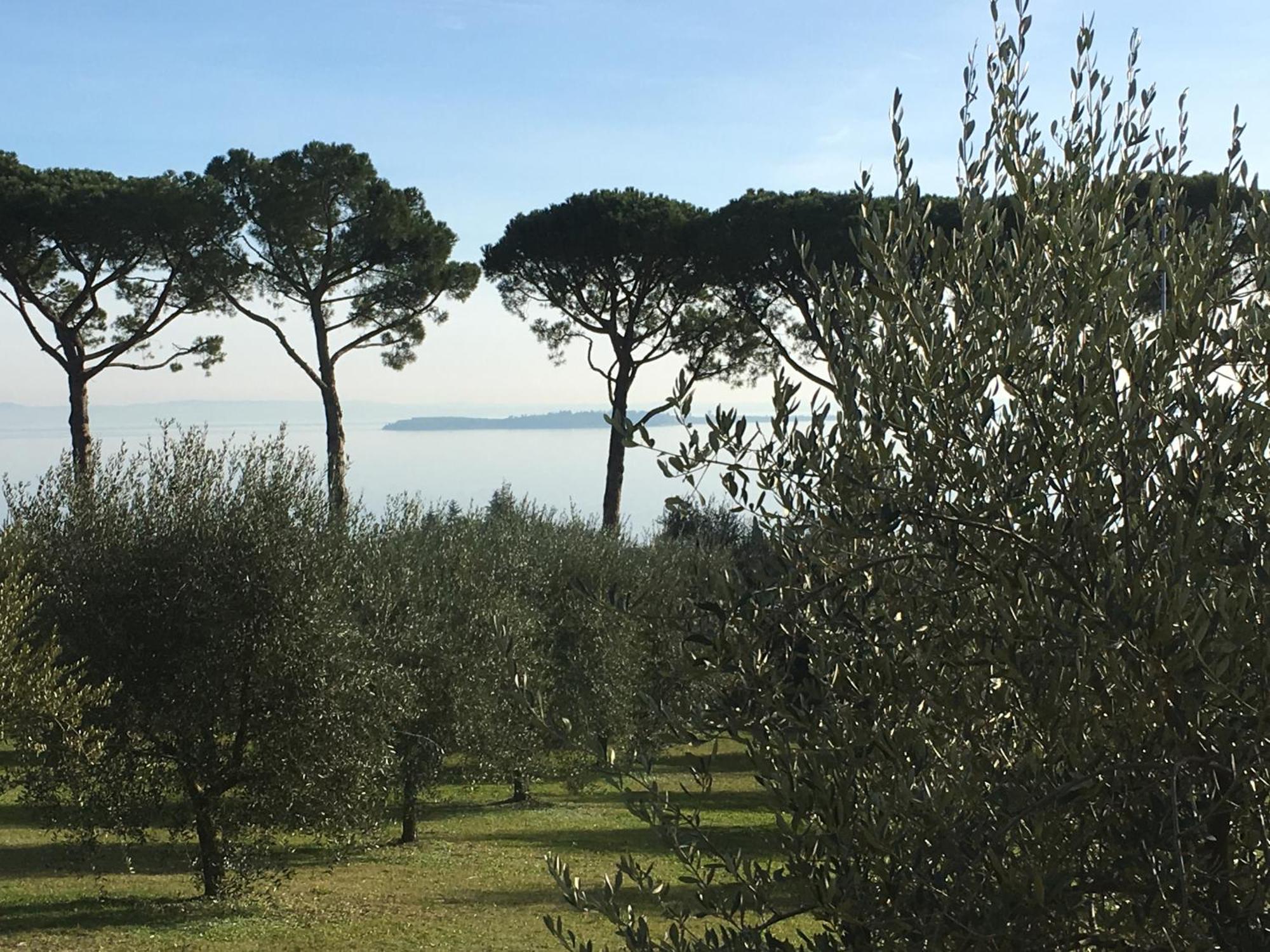 Agriturismo Nonna Bettina Moniga del Garda Ngoại thất bức ảnh