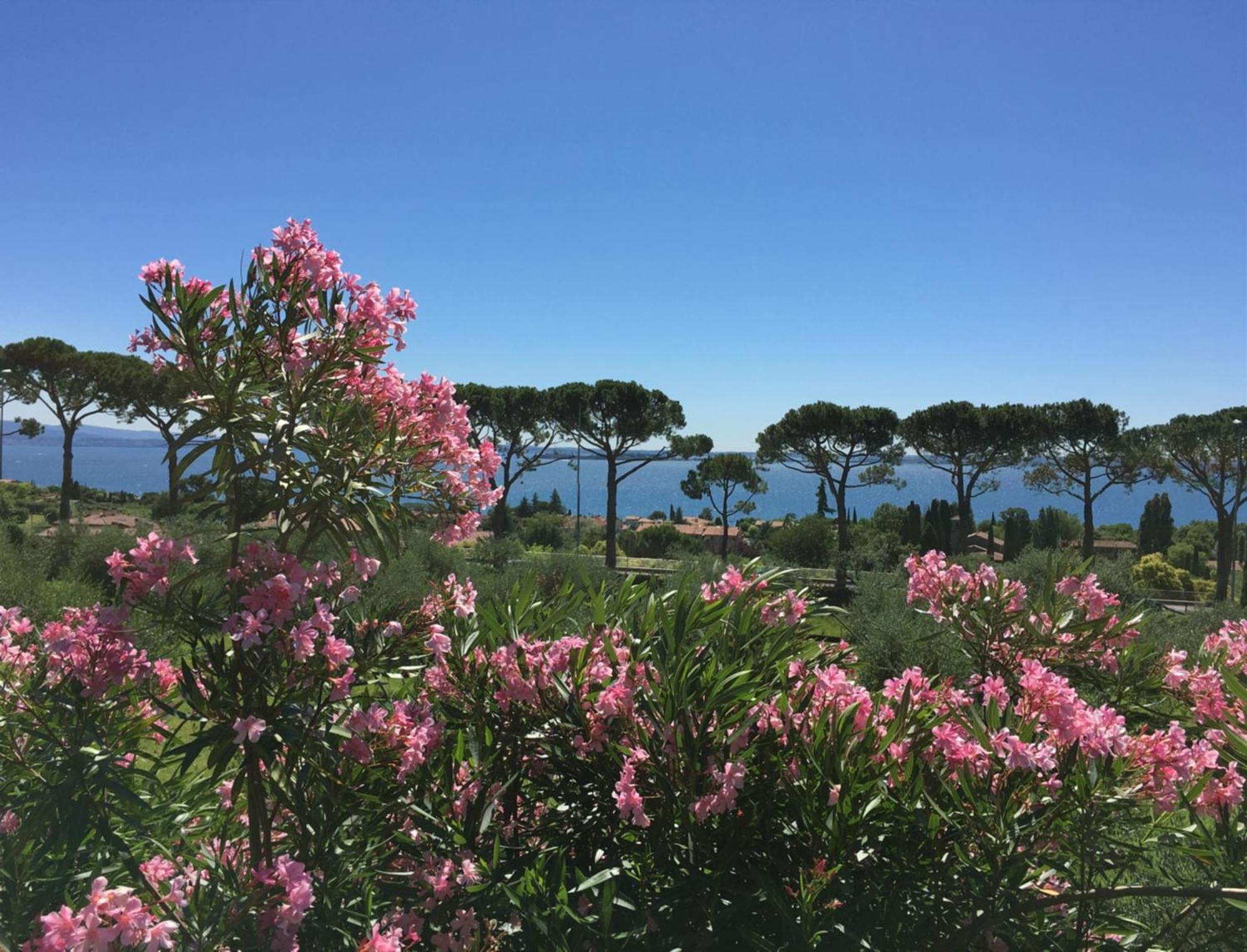 Agriturismo Nonna Bettina Moniga del Garda Ngoại thất bức ảnh